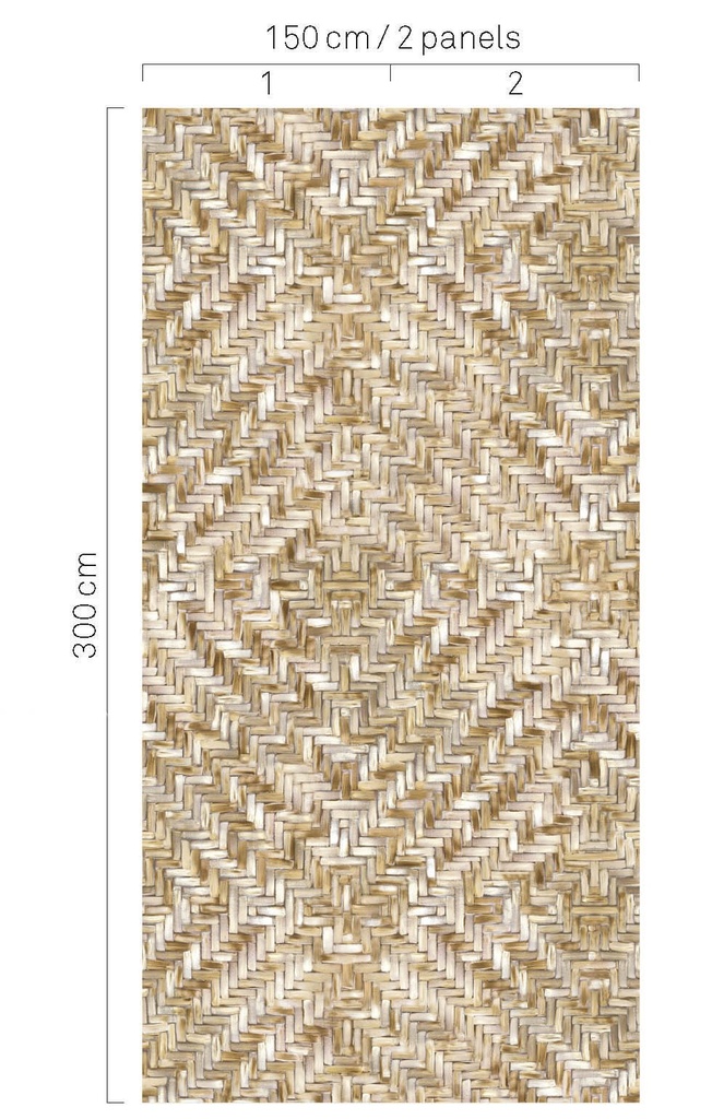 309091.1