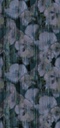 Canvas - Lotus Flower Xxl 313571