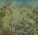 Emerald - Misty Mountain 333471