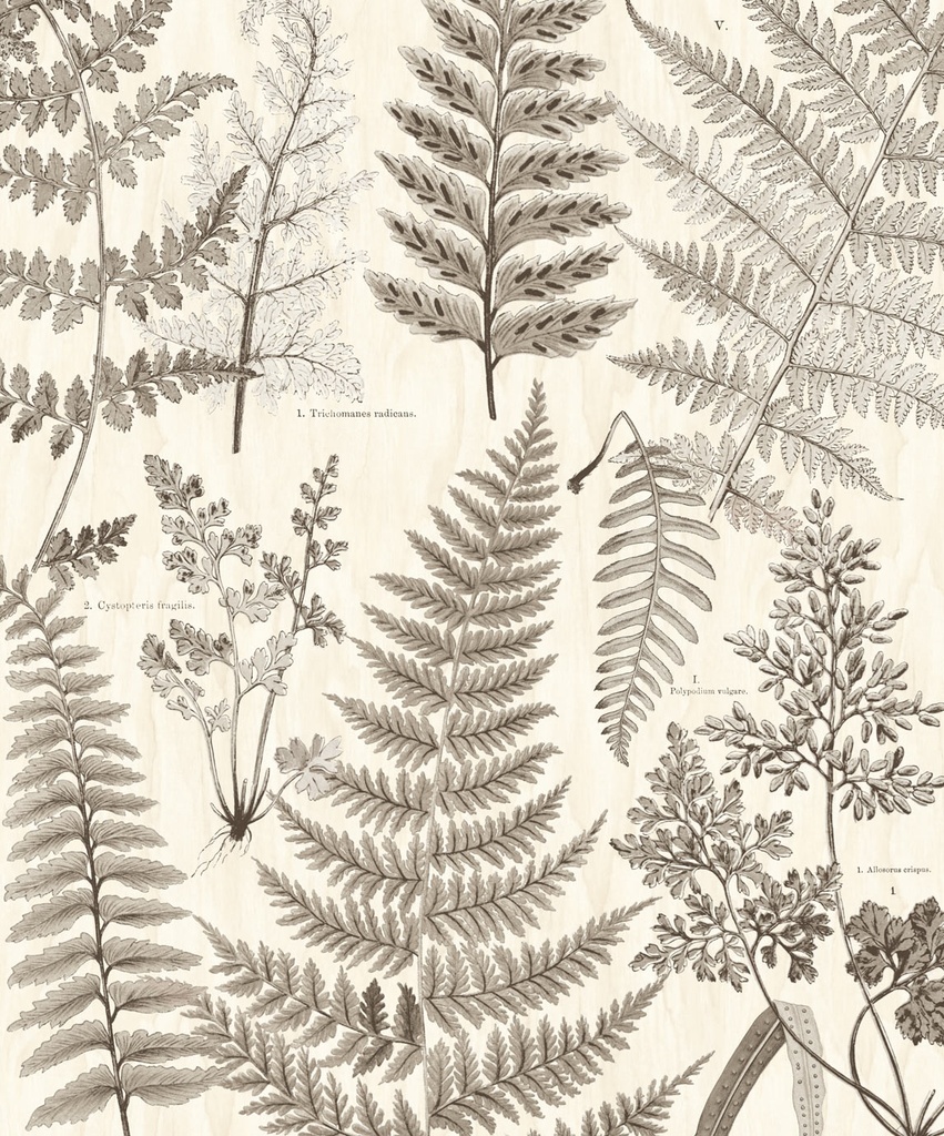 Geonature -  366105