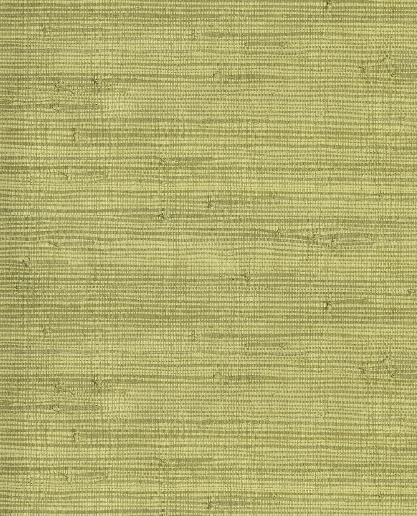Natural Wallcoverings 3 -  303502