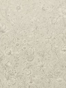 Posy - Rosarium Cream 316087