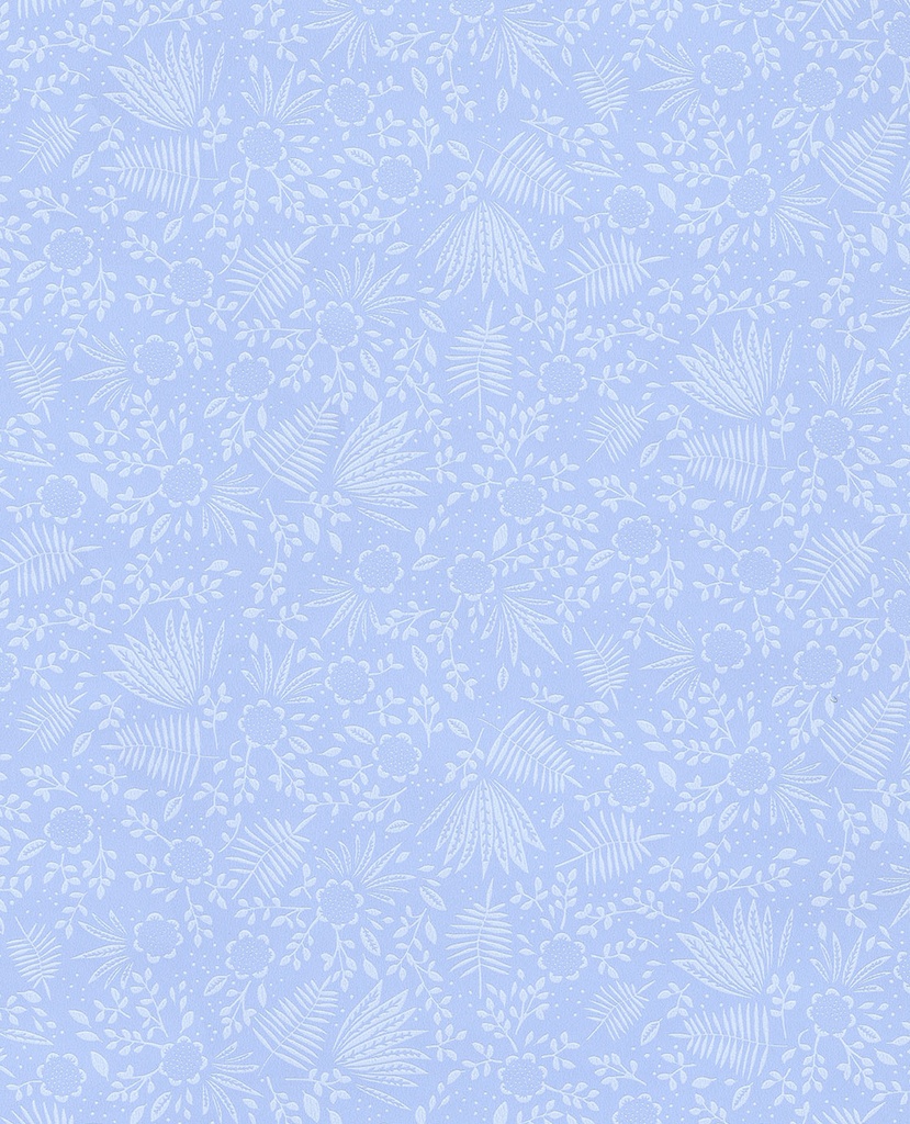 Rice Ii -  383543