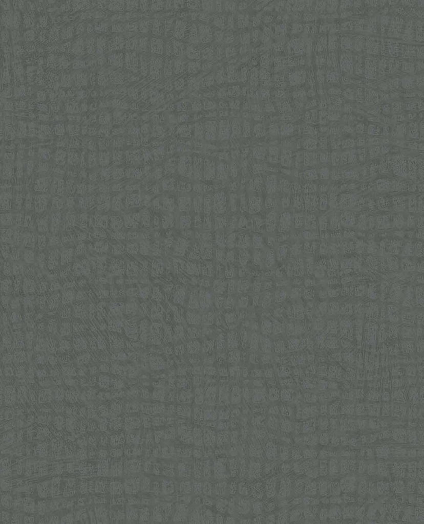 Sensory - Tortoise 340315
