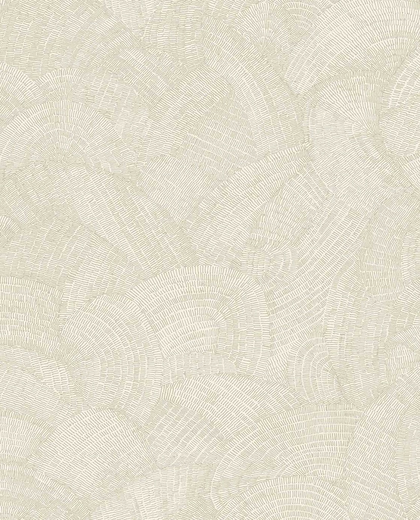 Sensory - Shimmer 340363
