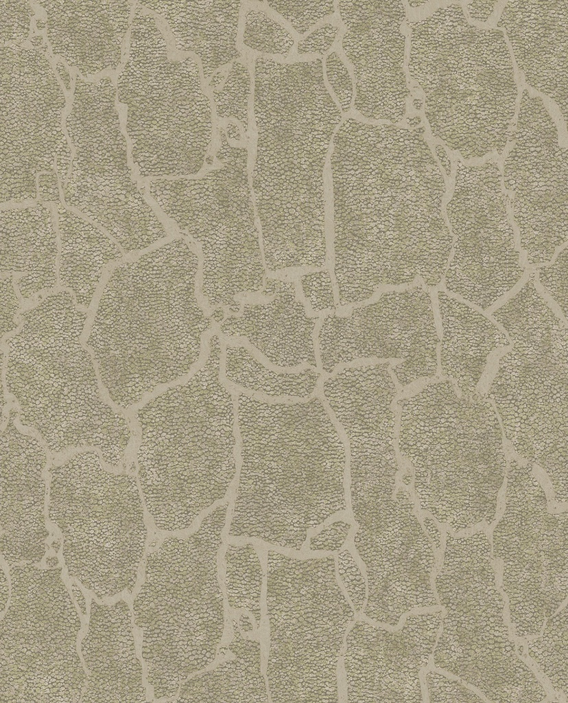 Skin -  300532