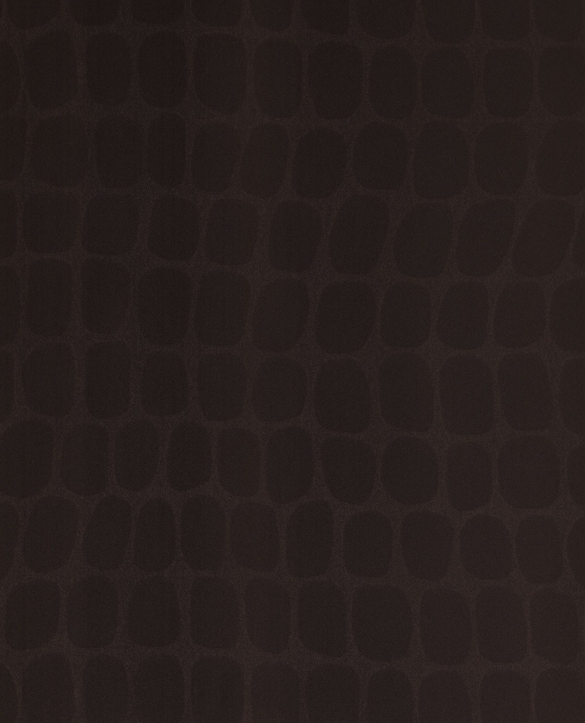 Skin -  300562