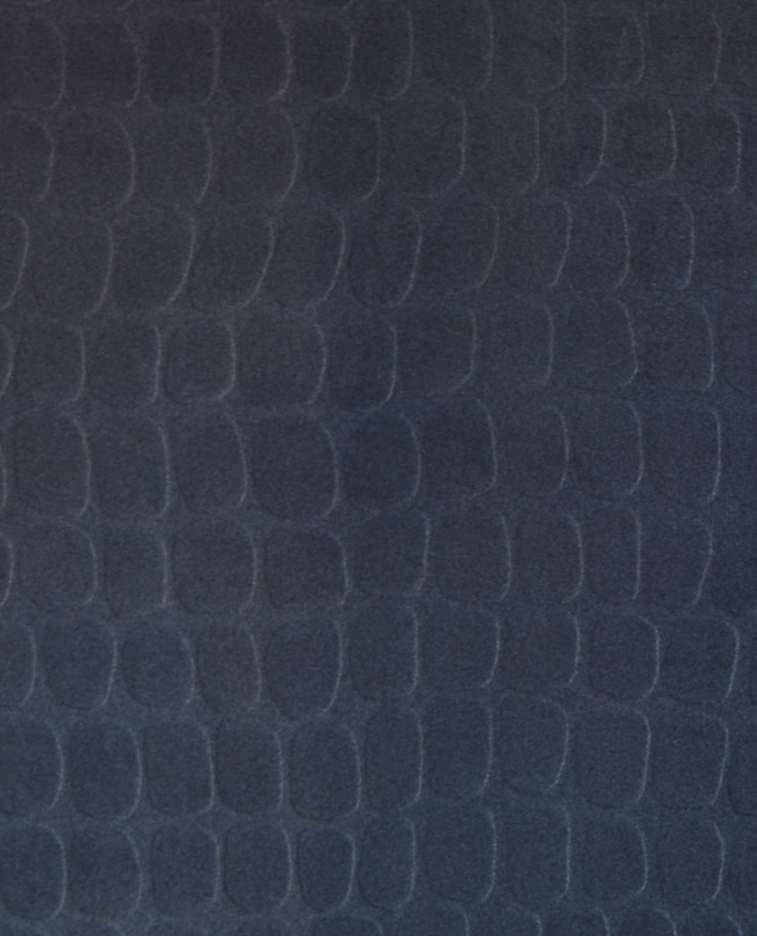 Skin -  300564