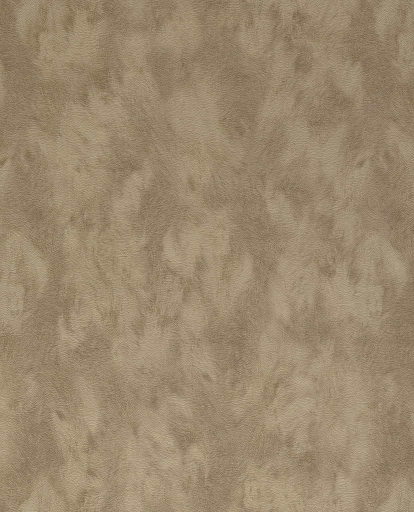 Skin -  300581