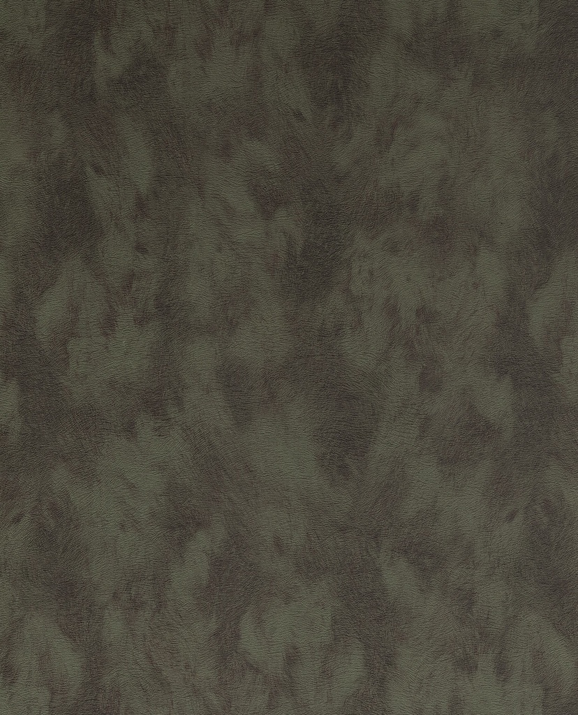 Skin -  300584