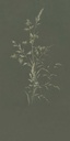 Waterfront -  300905