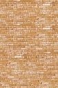 Wallpower Junior -  364190