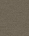 Amber - Canvas 350635