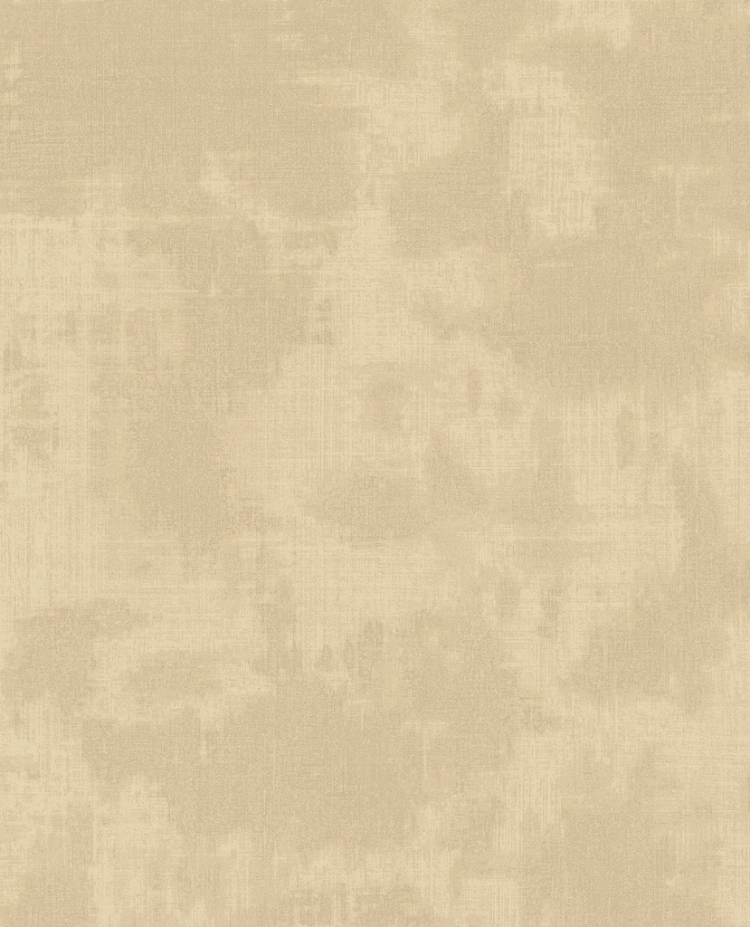 [313520] Canvas - Shades 313520