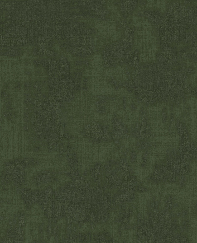 [313526] Canvas - Shades 313526