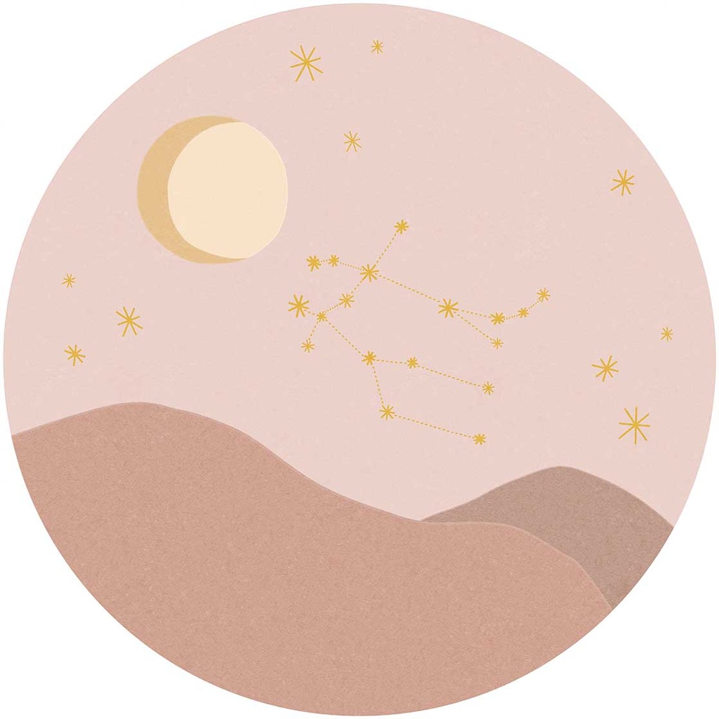 [323126] Explore - Gemini Rose 323126