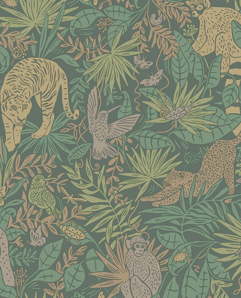 Explore - Hidden Canopy 323024