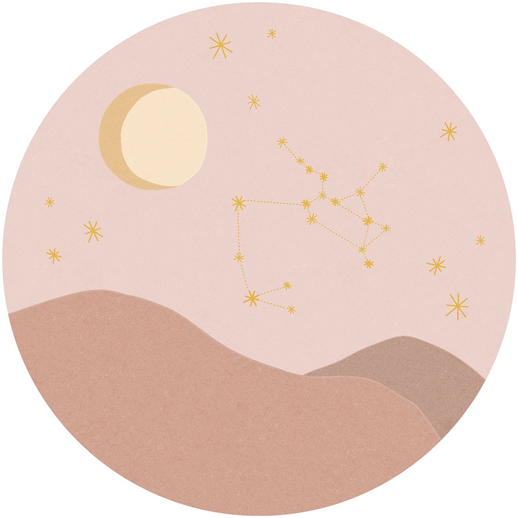 [323144] Explore - Sagittarius Rose 323144