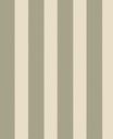 Explore - Stripe Fun 323042