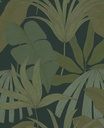 Festival - Midnight Palms 333500