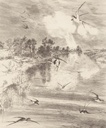 Geonature -  366101