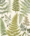 Geonature -  366104