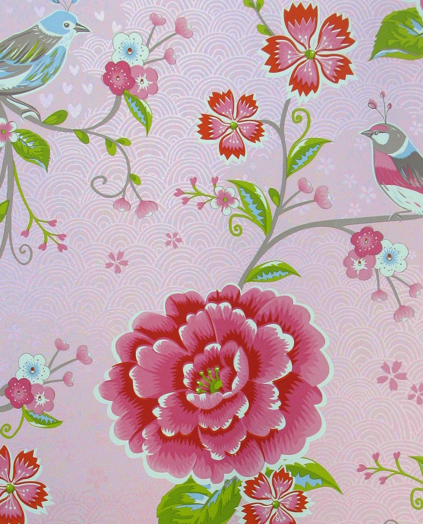 Pip Studio 5 -  300160