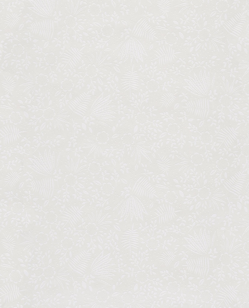 Rice Ii -  383540