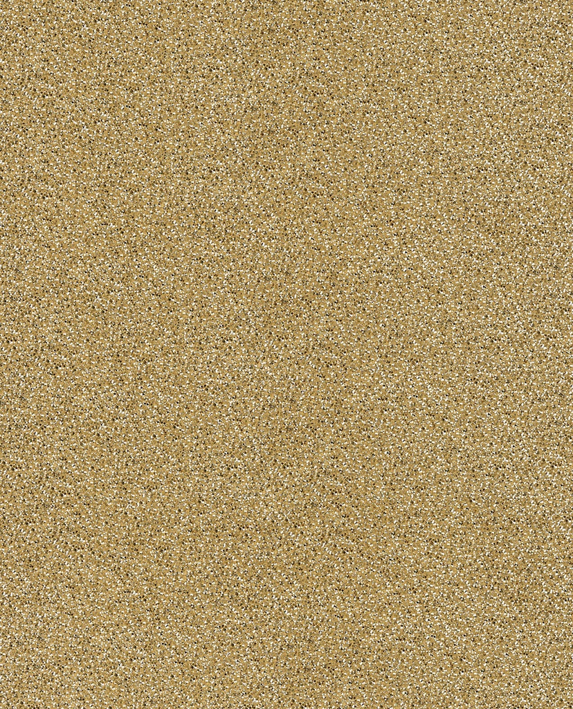 Rice Ii -  383582