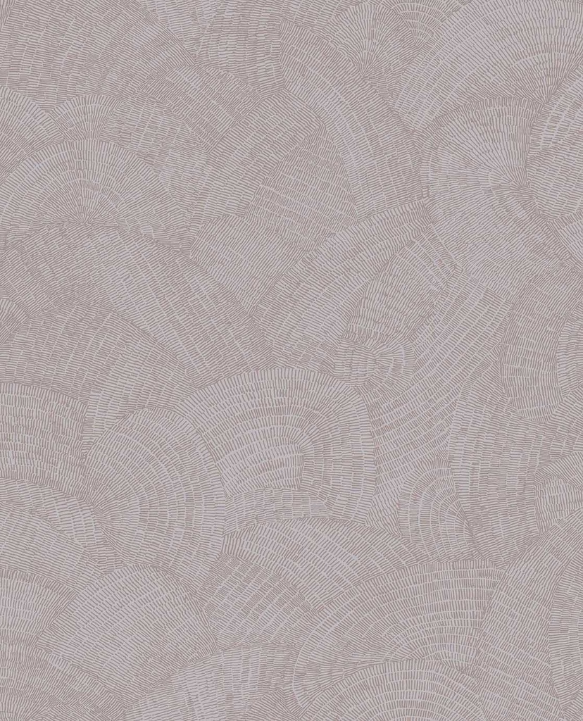 Sensory - Shimmer 340361