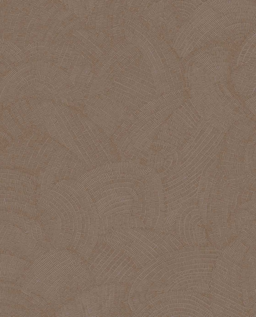 Sensory - Shimmer 340362