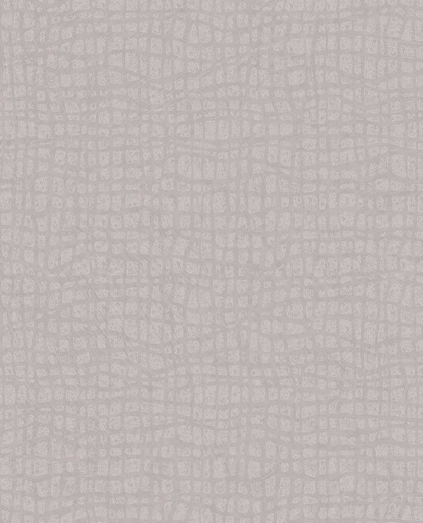 Sensory - Tortoise 340312