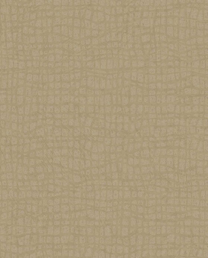 Sensory - Tortoise 340314