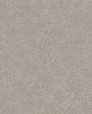 Skin -  300512