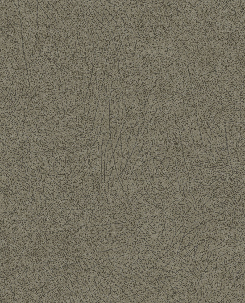 Skin -  300514