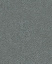Skin -  300515