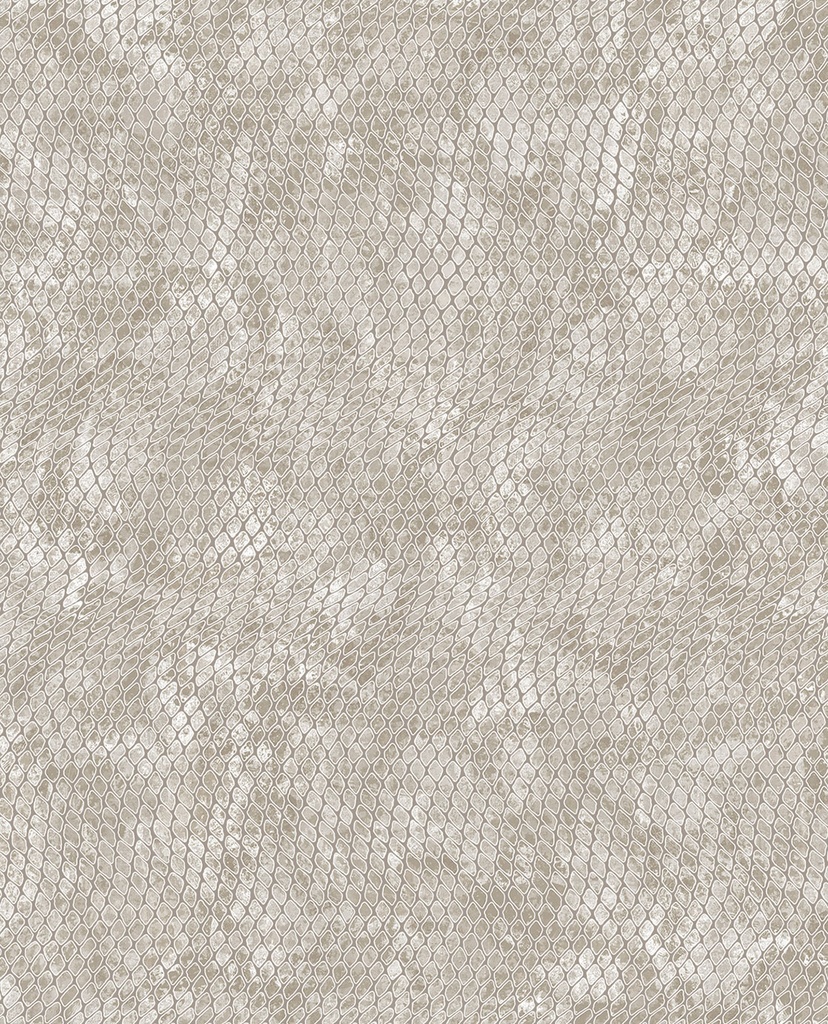 Skin -  300520