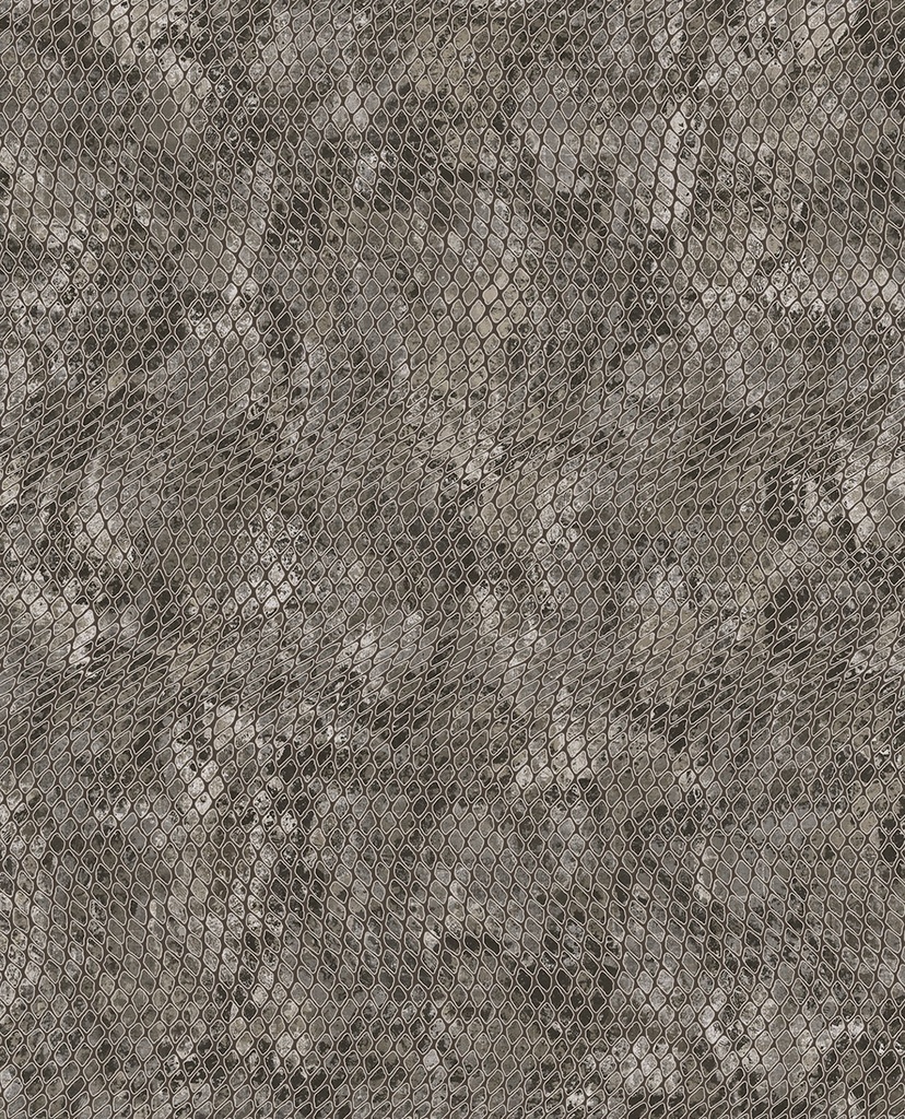 Skin -  300521