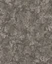Skin -  300521