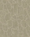 Skin -  300532
