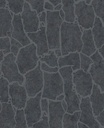Skin -  300535