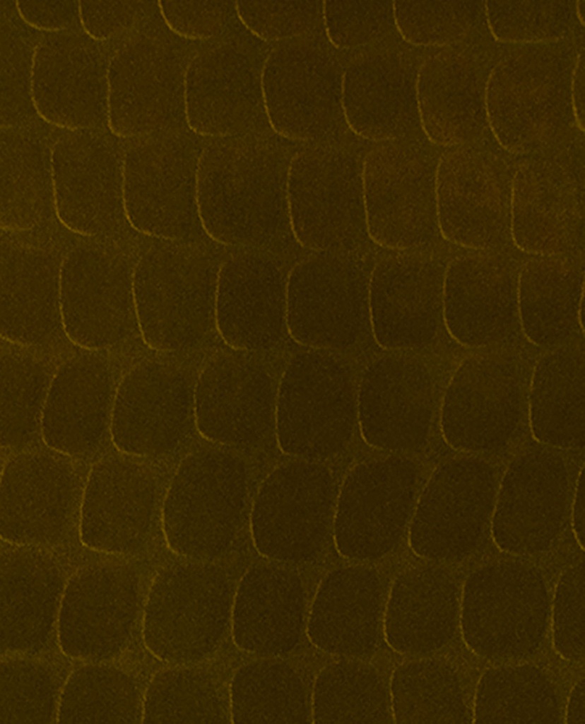 Skin -  300560