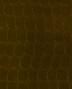 Skin -  300560
