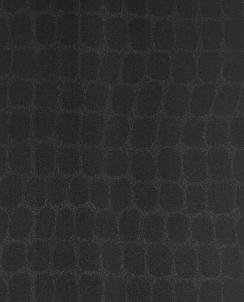 Skin -  300563