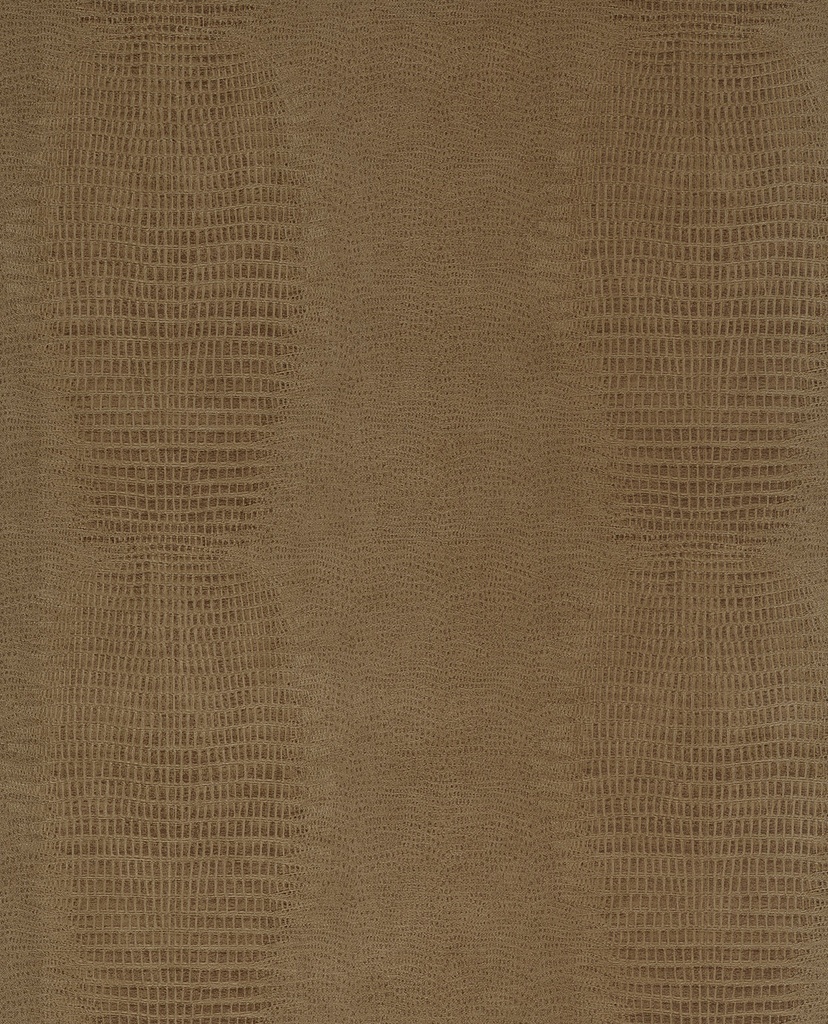 Skin -  300571