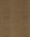 Skin -  300571