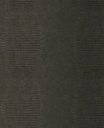 Skin -  300572