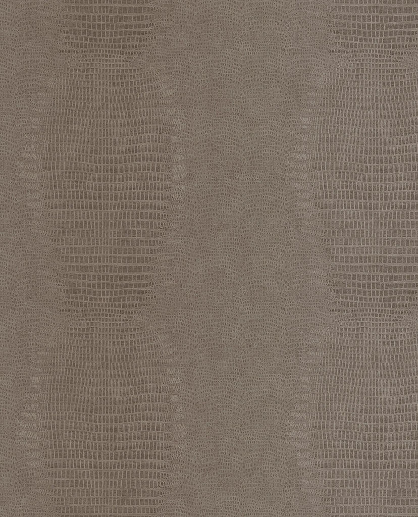 Skin -  300573