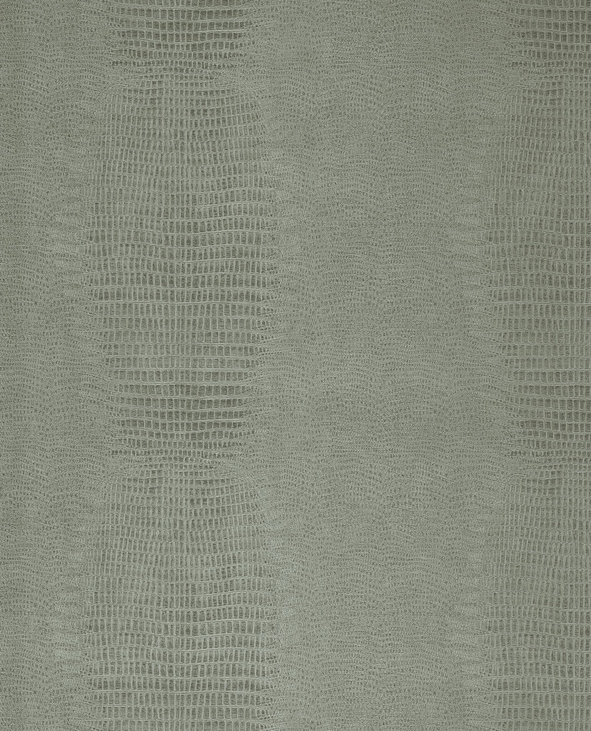 Skin -  300574