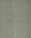 Skin -  300574